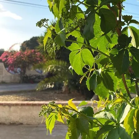 Casa Vacanze Orchidea Lido di Noto