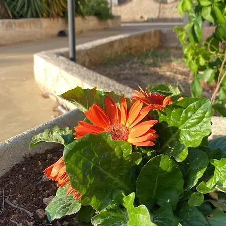 別荘 Casa Vacanze Orchidea Lido di Noto